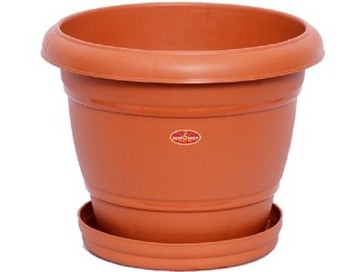 PLATE PLANTER- 18 inch