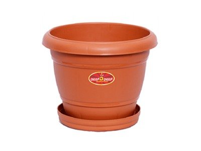PLATE PLANTER- 10 inch