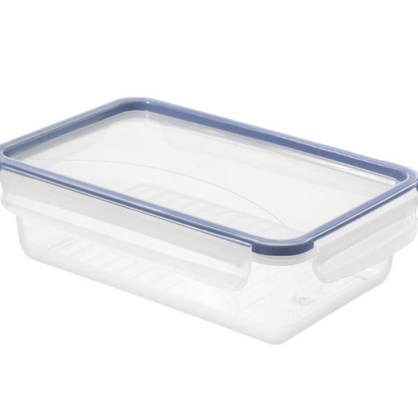 LOCK & LOCK CONTAINER - 600ML