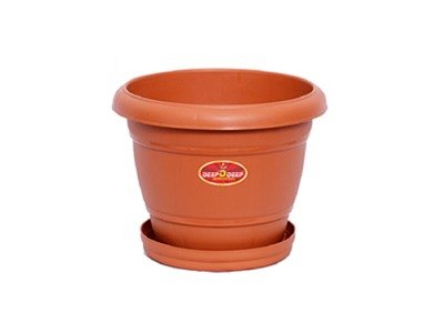 PLATE PLANTER- 6 inch