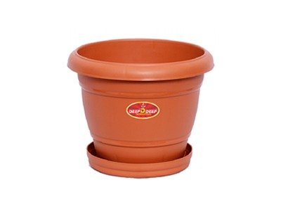 PLATE PLANTER- 8 inch