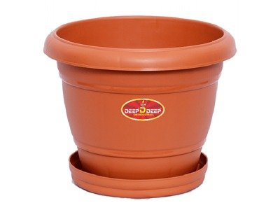 PLATE PLANTER- 14 inch