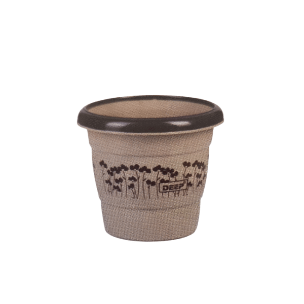 CANDY PLANTER 9 INCH