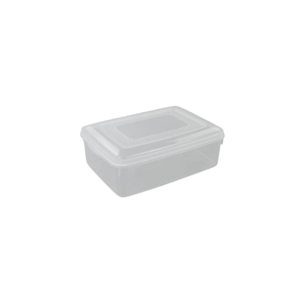 CONTAINER SMART 33